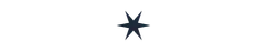 Polygon - 12-point-star